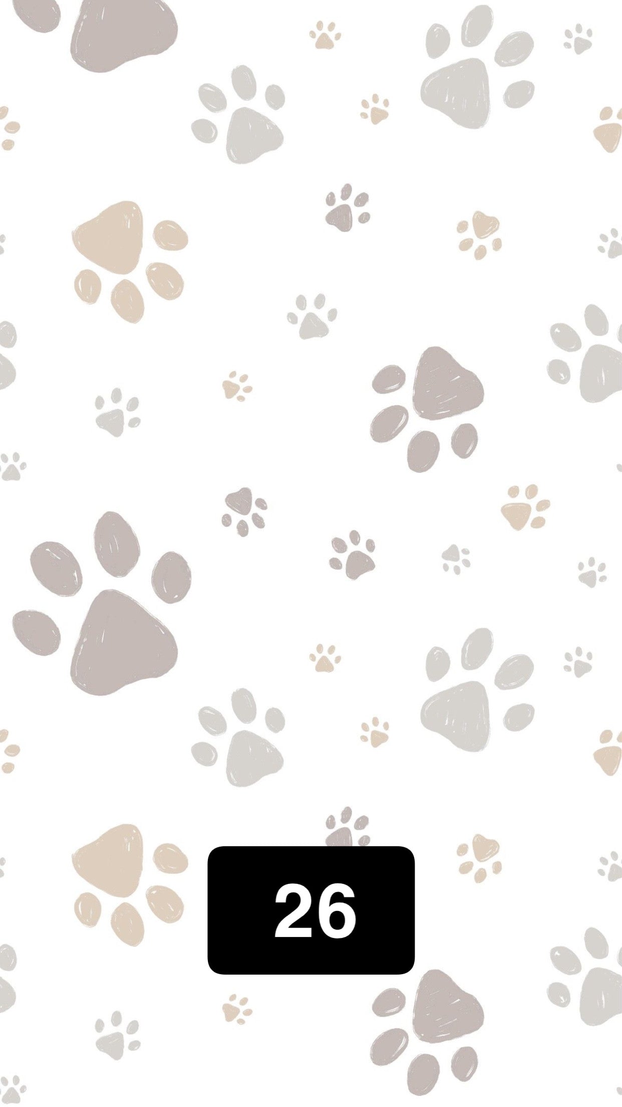 Pet tags