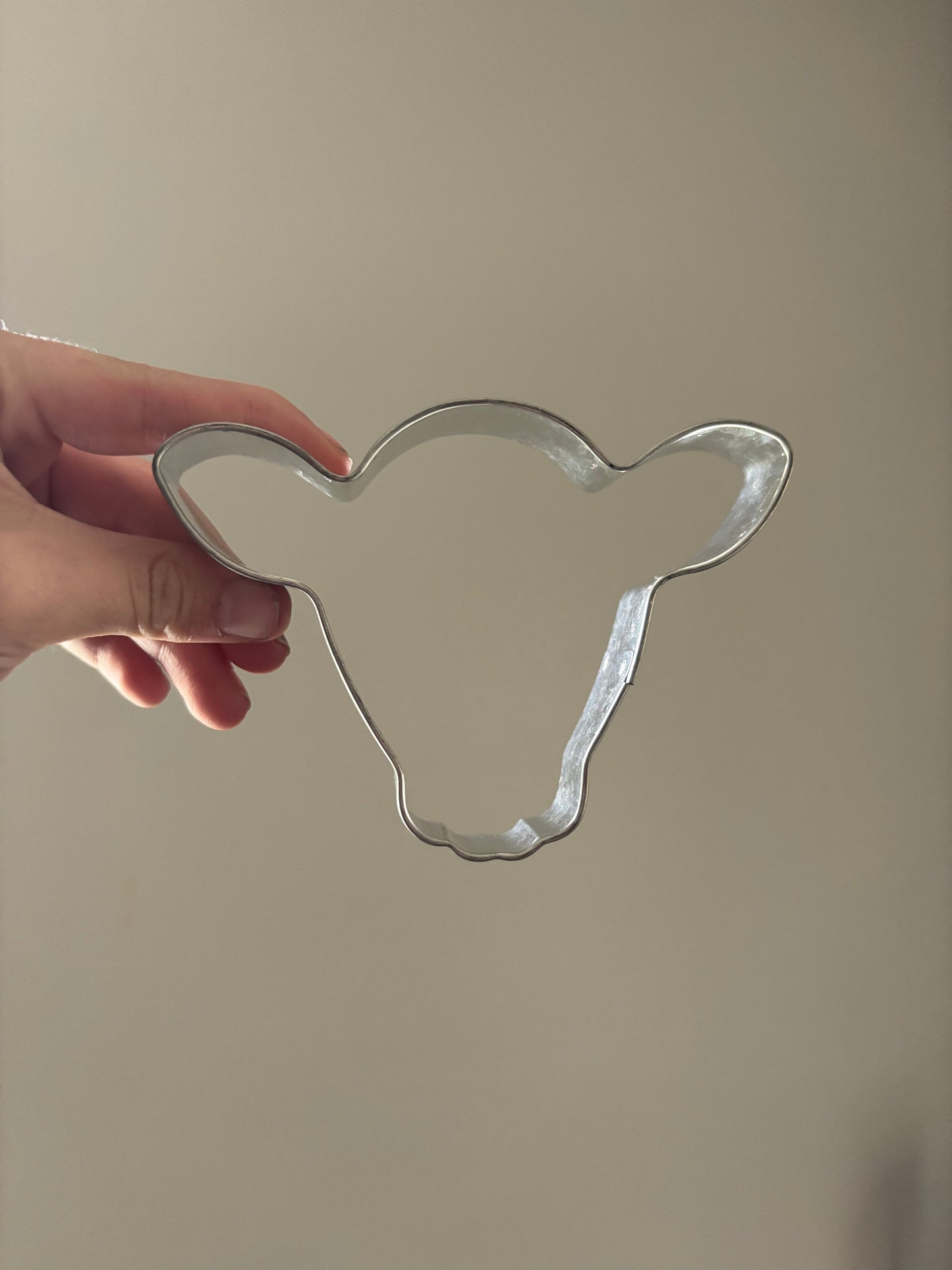 Cow head